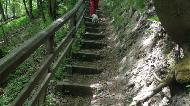 Wanderung zur Ruhrquelle 2016