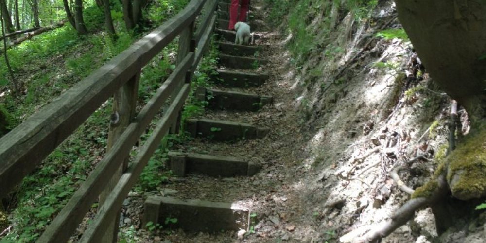 Wanderung zur Ruhrquelle 2016